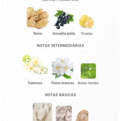 Notas principais, intermédias e básicas de perfume com imagens de ingredientes como gengibre, groselha preta, flores e almíscar.