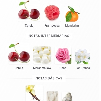 Notas principais, intermediárias e básicas com imagens de frutas, flores e essências