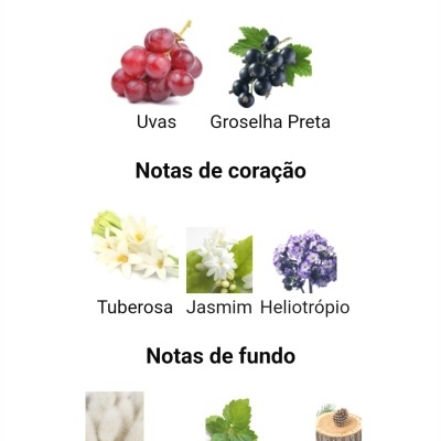 Notas principais, de coração e de fundo com imagens de frutas, flores e madeiras para fragrância em português