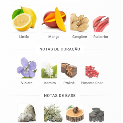 Notas olfativas de topo, coração e base com imagens de frutas, flores e madeiras.