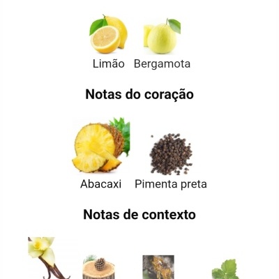 Ingredientes apresentados em três categorias com imagens para cada nota: limão, bergamota, abacaxi, pimenta preta, baunilha, cedro, madeira âmbar, patchouli.
