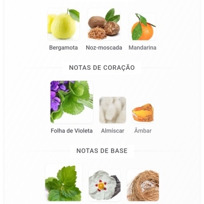 Notas aromáticas com bergamota, noz-moscada, mandarina, folha de violeta, almíscar, âmbar, patchouli, ládano e vetiver