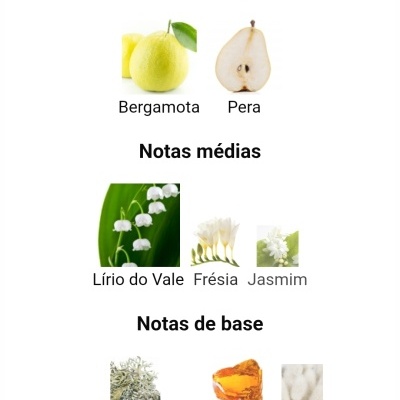 Notas olfativas de perfume com imagens de frutas e flores associadas