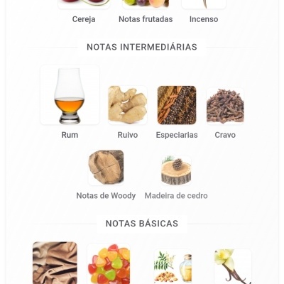 Notas aromáticas principais, intermédias e básicas com imagens representativas