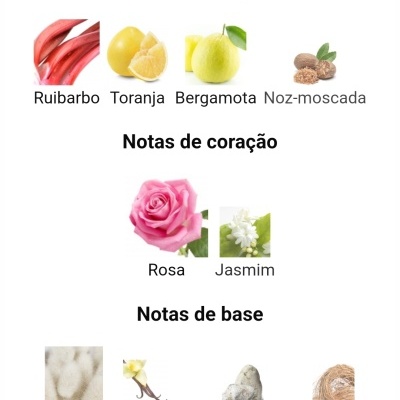 Quadro com fotos e nomes de ingredientes de fragrâncias organizados em Notas de topo, coração e base.