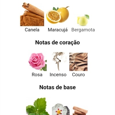 Notas aromáticas de fragrância divididas em topo, coração e base com imagens correspondentes.