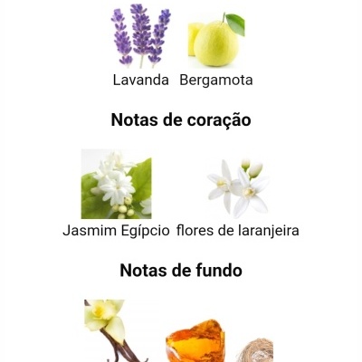 Notas principais, de coração e de fundo com imagens de ingredientes
