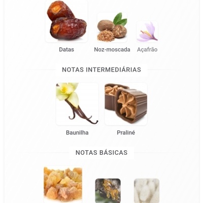 Notas aromáticas principais, intermédias e básicas com fotos de ingredientes em fundo branco