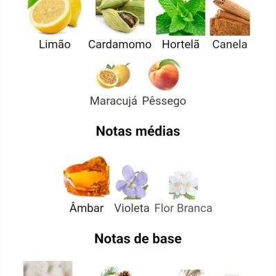 Notas de topo, médias e de base de fragrância com imagens das plantas e ingredientes correspondentes