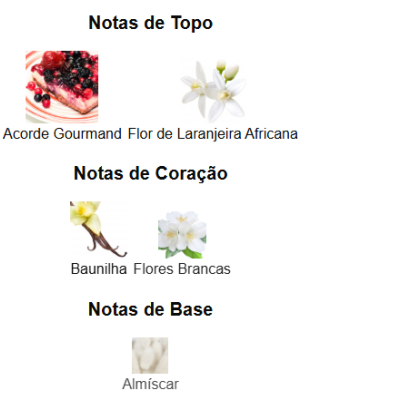 Descrição de notas olfativas em português com imagens de frutos vermelhos, flores brancas e almíscar.