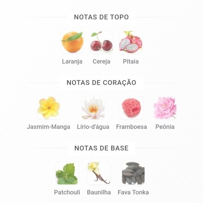 Notas olfativas do perfume com imagens e nomes de ingredientes em português