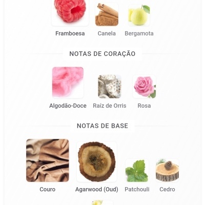Notas olfativas do produto organizadas em topo, coração e base com imagens e nomes em português.