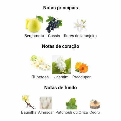 Notas olfativas principais, de coração e de fundo com imagens e nomes das substâncias