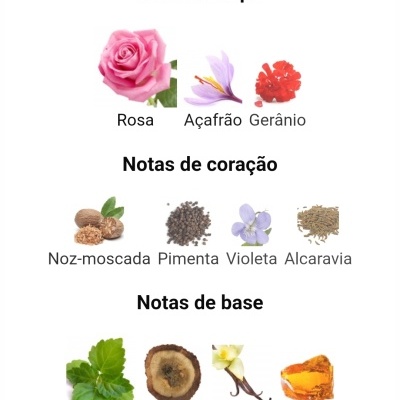 Notas olfativas de um perfume com rosa, açafrão, gerânio, noz-moscada, pimenta, violeta, alcaravia, patchouli, oud, baunilha e âmbar.