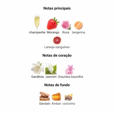 Notas olfativas principais, de coração e de fundo representadas por imagens de ingredientes e texto em português.