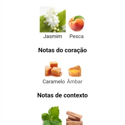 Ingredientes do produto divididos em notas principais, do coração e de contexto com fotos de flores, fruta, caramelos e folhas