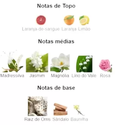 Notas olfativas divididas em topo, médias e base com ilustrações das fragrâncias.