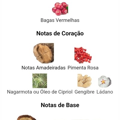 Notas olfativas de perfume organizadas em topo, coração e base com imagens dos ingredientes e frasco