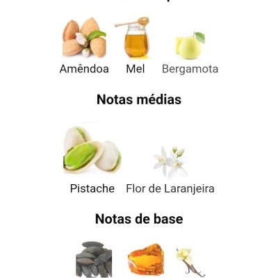 Notas olfativas de perfume com imagens de ingredientes e texto