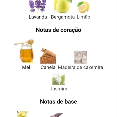 Notas olfativas organizadas em topo, coração e base com imagens de ingredientes.