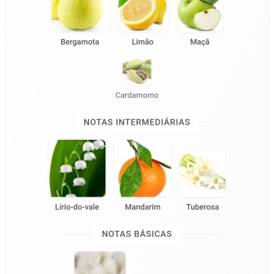 Notas aromáticas de perfumes organizadas em três categorias com imagens de frutos, flores e ingredientes naturais.