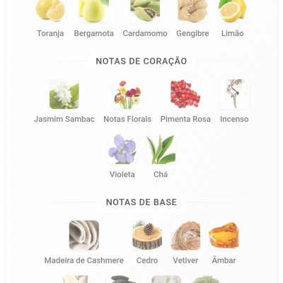 Ícones e nomes de ingredientes de fragrância divididos em notas de topo, coração e base.