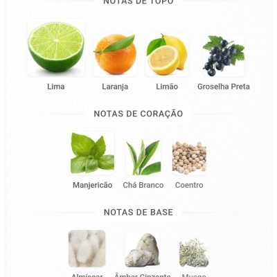 Imagens de frutas, folhas e elementos naturais organizados em categorias: notas de topo, coração e base
