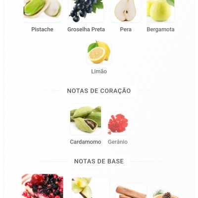 Notas olfativas divididas em topo, coração e base com imagens de ingredientes naturais