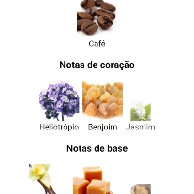 Notas de perfume organizadas em topo, coração e base, com imagens de cada aroma correspondente