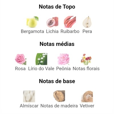 Notas olfativas divididas em topo, médias e base com imagens representando cada nota.