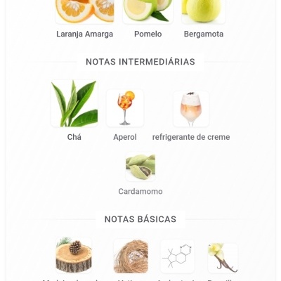 Notas aromáticas principais, intermédias e básicas com imagens de frutas, bebidas, especiarias e materiais naturais.