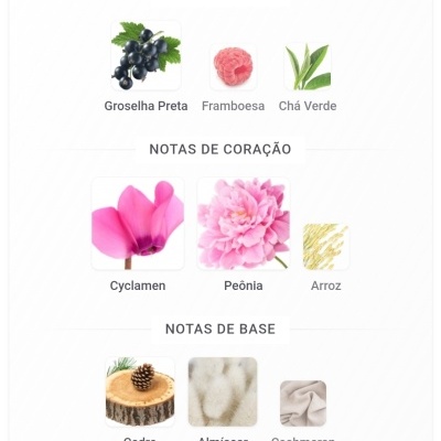 Notas olfativas com imagens e nomes de ingredientes em português.