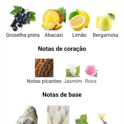 Imagem com frutas, flores e especiarias representando notas de perfume