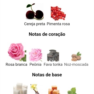 Notas de perfume divididas em topo, coração e base com imagens dos ingredientes