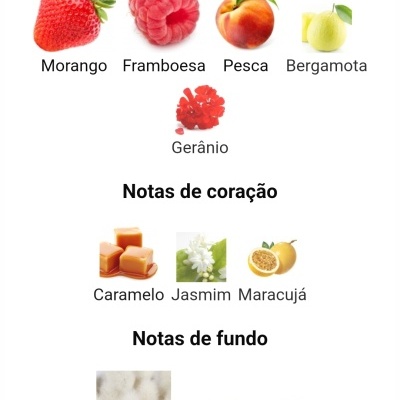 Notas principais, coração e fundo com imagens e nomes de ingredientes para fragrância.