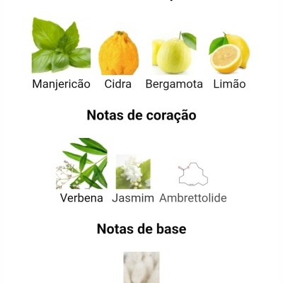Notas olfativas divididas em topo, coração e base com imagens de plantas e frutas.