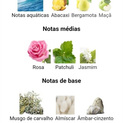 Notas aromáticas do produto divididas em topo, médias e base