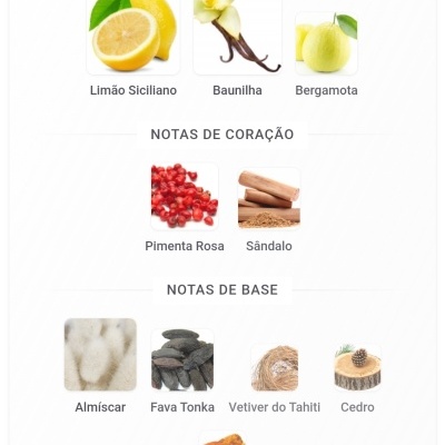 Infográfico de notas olfativas de perfume em três grupos