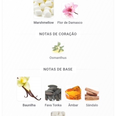 Notas de fragrância com diferentes ingredientes para perfume