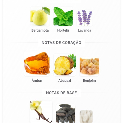 Notas de topo, coração e base com imagens de bergamota, hortelã, lavanda, âmbar, abacaxi, benjoim, baunilha, fava tonka e almíscar.
