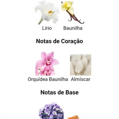 Notas de Topo, Coração e Base com flores e ingredientes aromáticos.