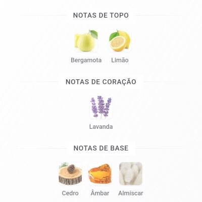 Notas de fragrância em português com imagens de ingredientes: bergamota, limão, lavanda, cedro, âmbar e almíscar.