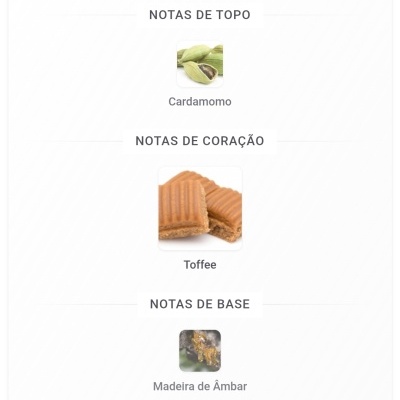 Notas de topo cardamomo, notas de coração toffee, notas de base madeira de âmbar