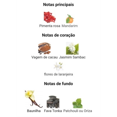 Notas olfativas de perfume em categorias principais, coração e fundo com imagens e textos.