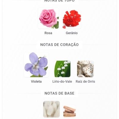 Notas de topo com rosa e gerânio, notas de coração com violeta, lírio-do-vale e raiz de orris e notas de base com almíscar e sândalo