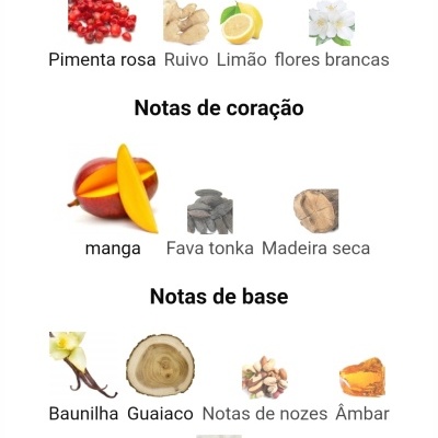 Notas olfativas de um perfume divididas em topo, coração e base com imagens dos ingredientes