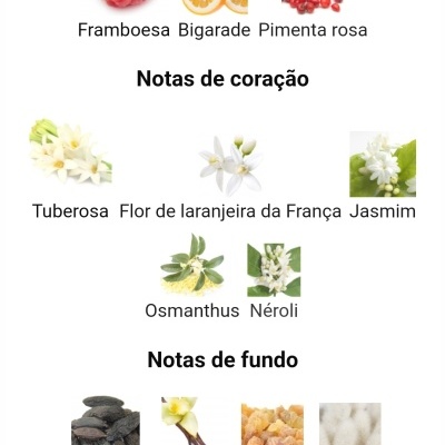 Notas olfativas de perfume organizadas em principais, de coração e de fundo com ingredientes e imagens correspondentes.