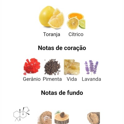 Notas de perfume: principais, coração e fundo com imagens de ingredientes naturais e ícones químicos.