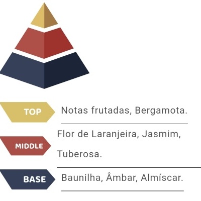 Pirâmide colorida com notas aromáticas Top, Middle e Base
