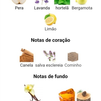 Notas olfativas principais, de coração e de fundo com imagens das plantas e ingredientes correspondentes